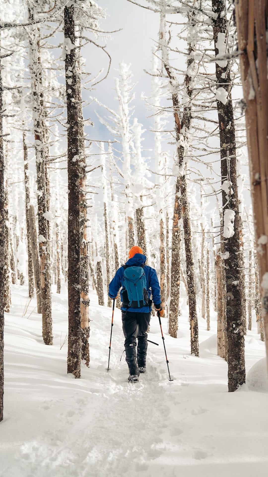 Post 4 by Aly & Nick 🏔️ on Instagram (video)