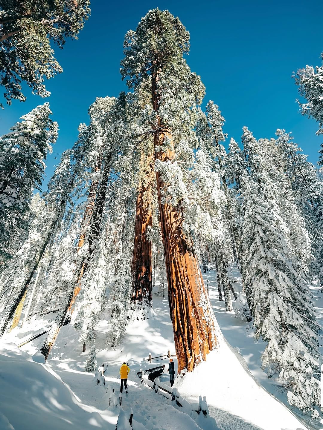 Post 3 by Aly & Nick 🏔️ on Instagram (carousel)