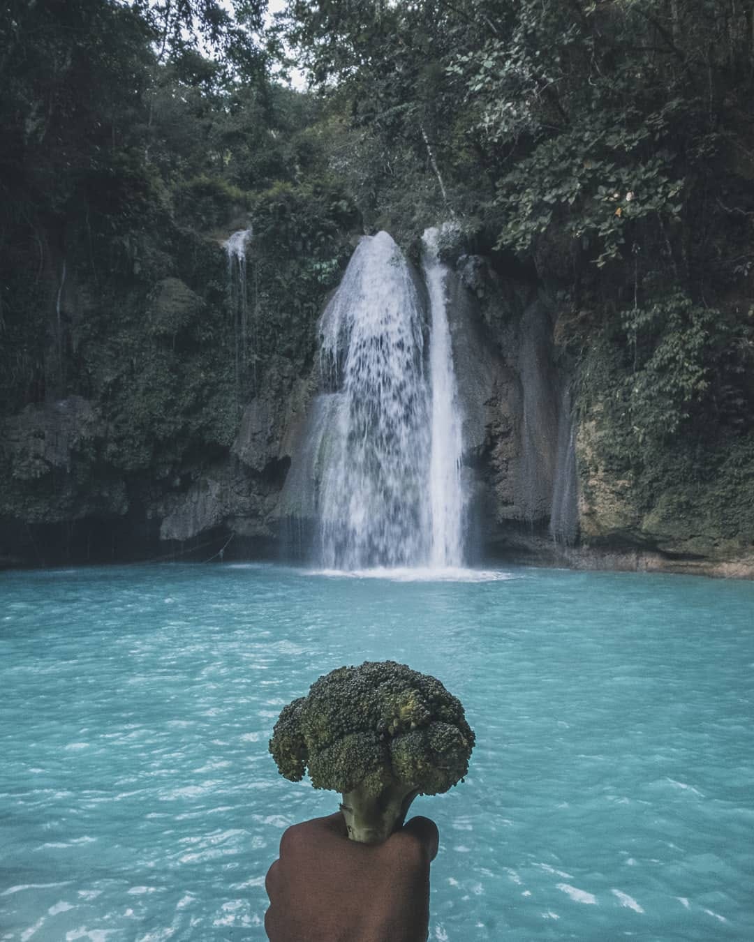 Post 7 by Chomp The Broc on Instagram (image)