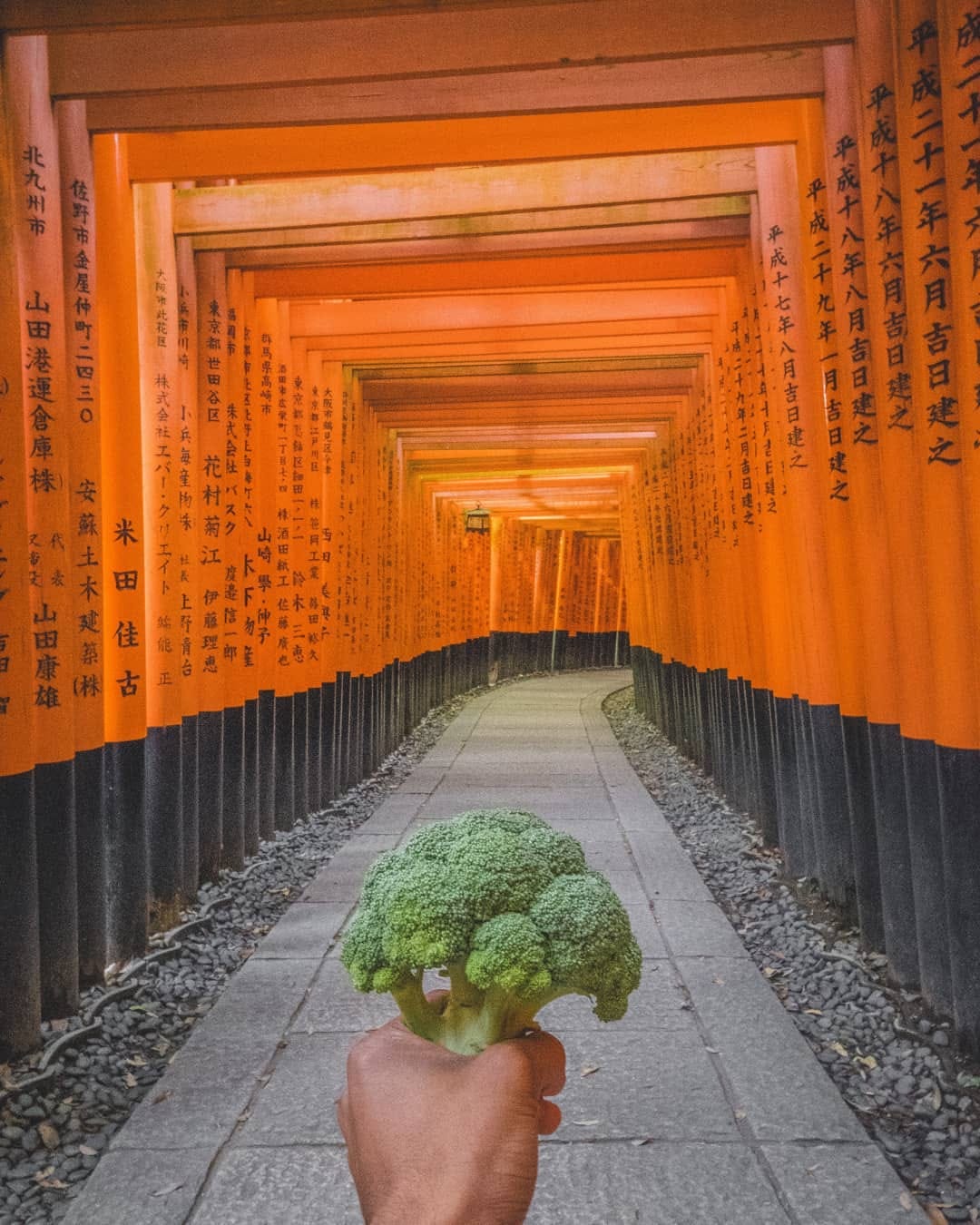 Post 2 by Chomp The Broc on Instagram (image)