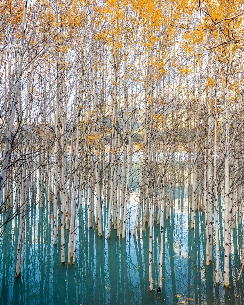 Post 10 by Isabelle Boucher-Guimond on Instagram (image)