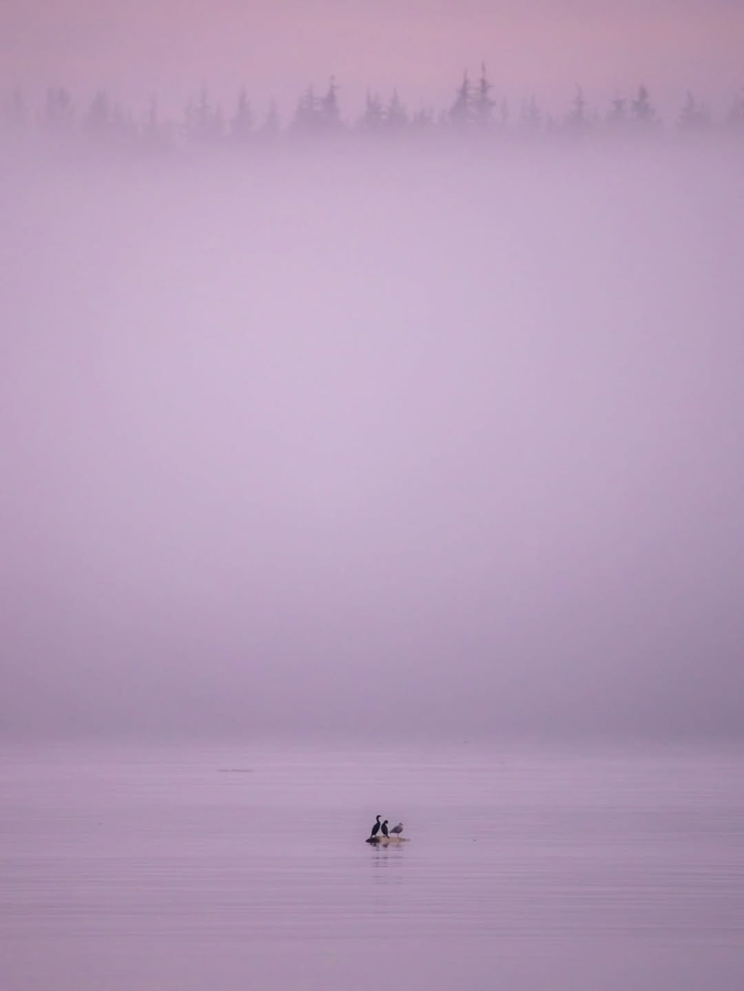 Post 4 by Isabelle Boucher-Guimond on Instagram (carousel)