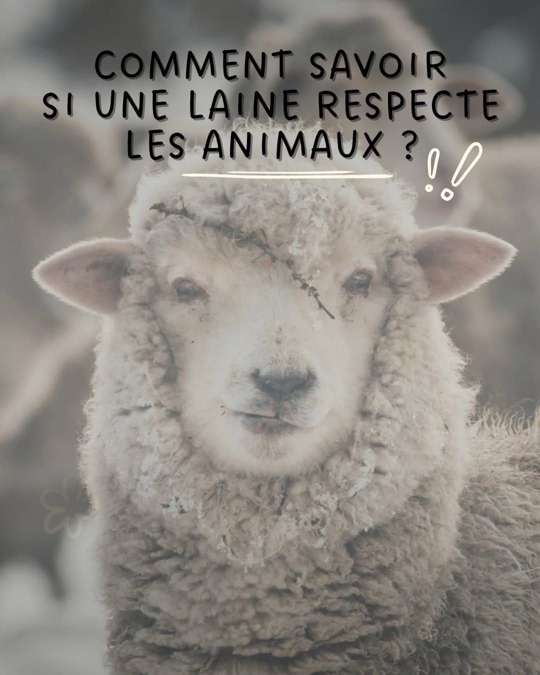 Post 5 by Les Créations d'Océane - Créatrice bébé on Instagram (carousel)