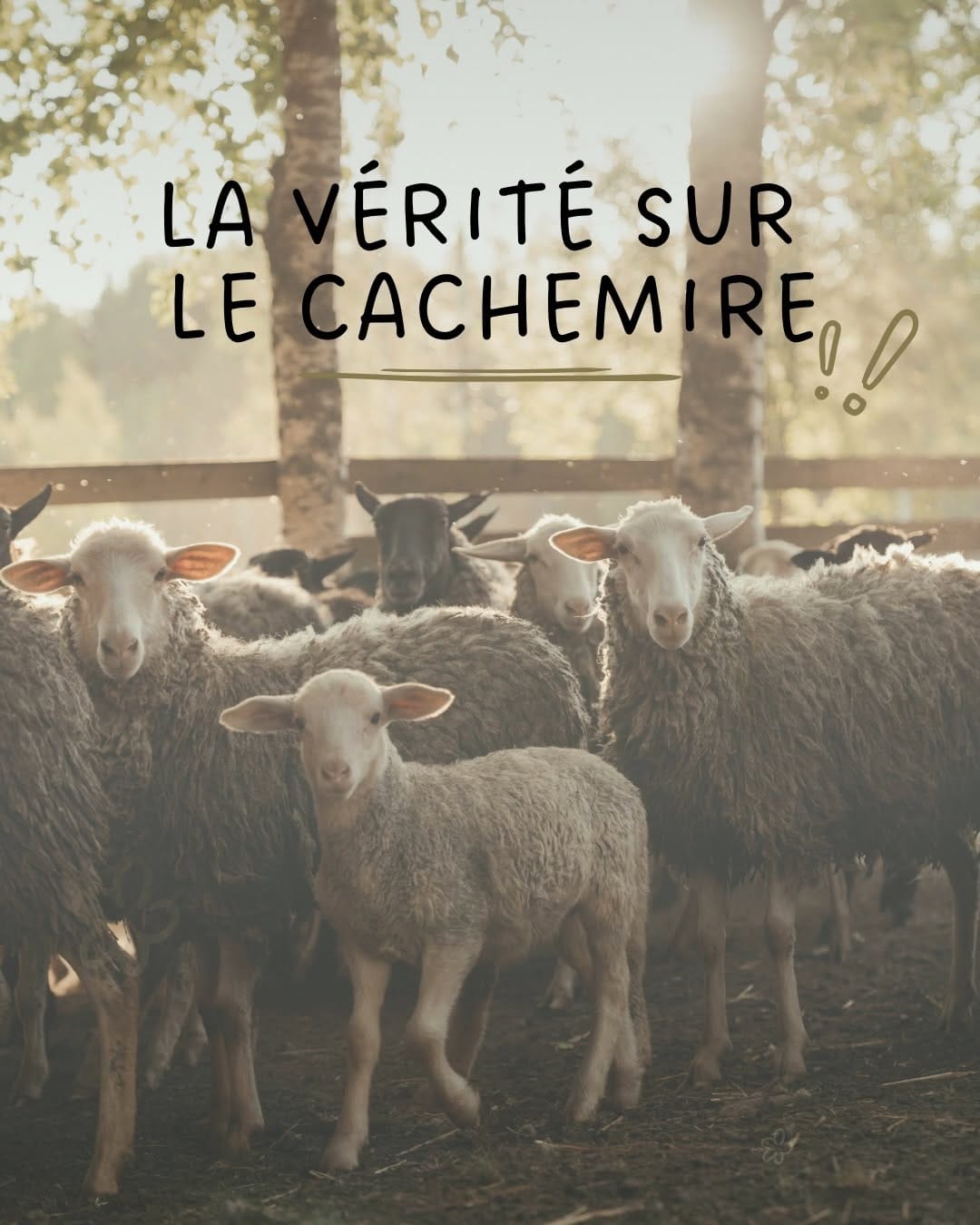 Post 7 by Les Créations d'Océane - Créatrice bébé on Instagram (carousel)