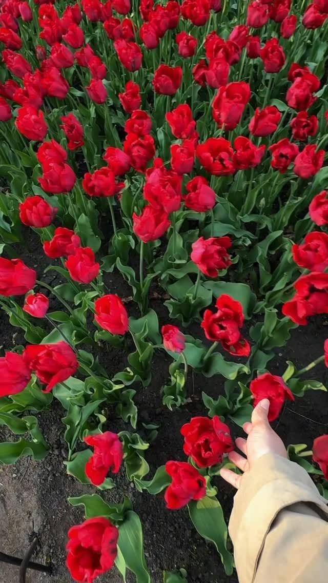 Post 10 by غـــديـــر on Instagram (video)