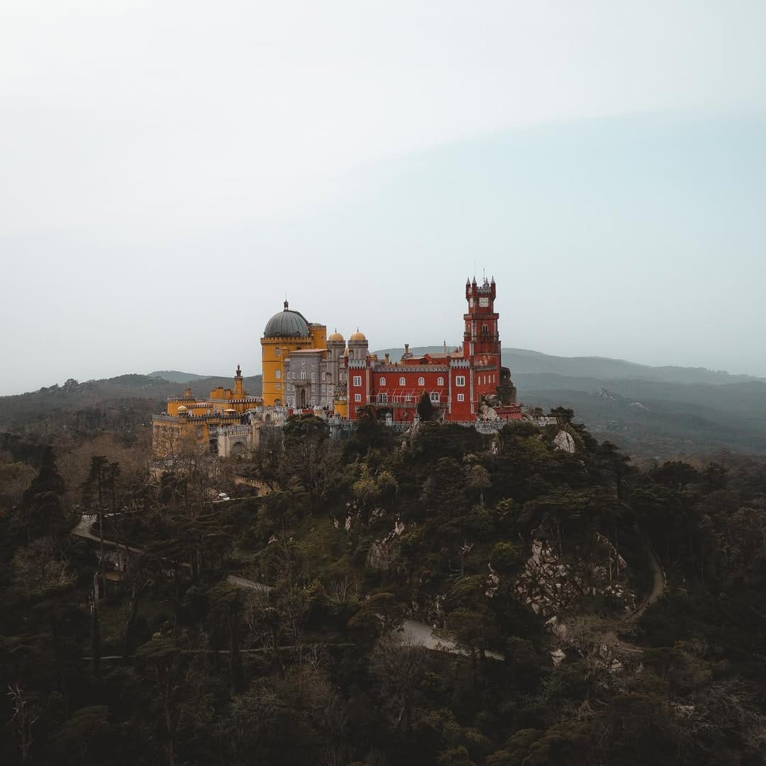 Post 9 by Fábio Garfield on Instagram (image)