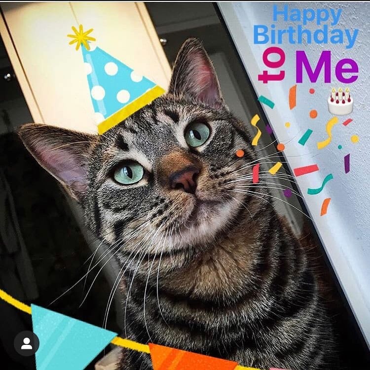 Post 6 by Marley Le Cat-scadeur on Instagram (image)