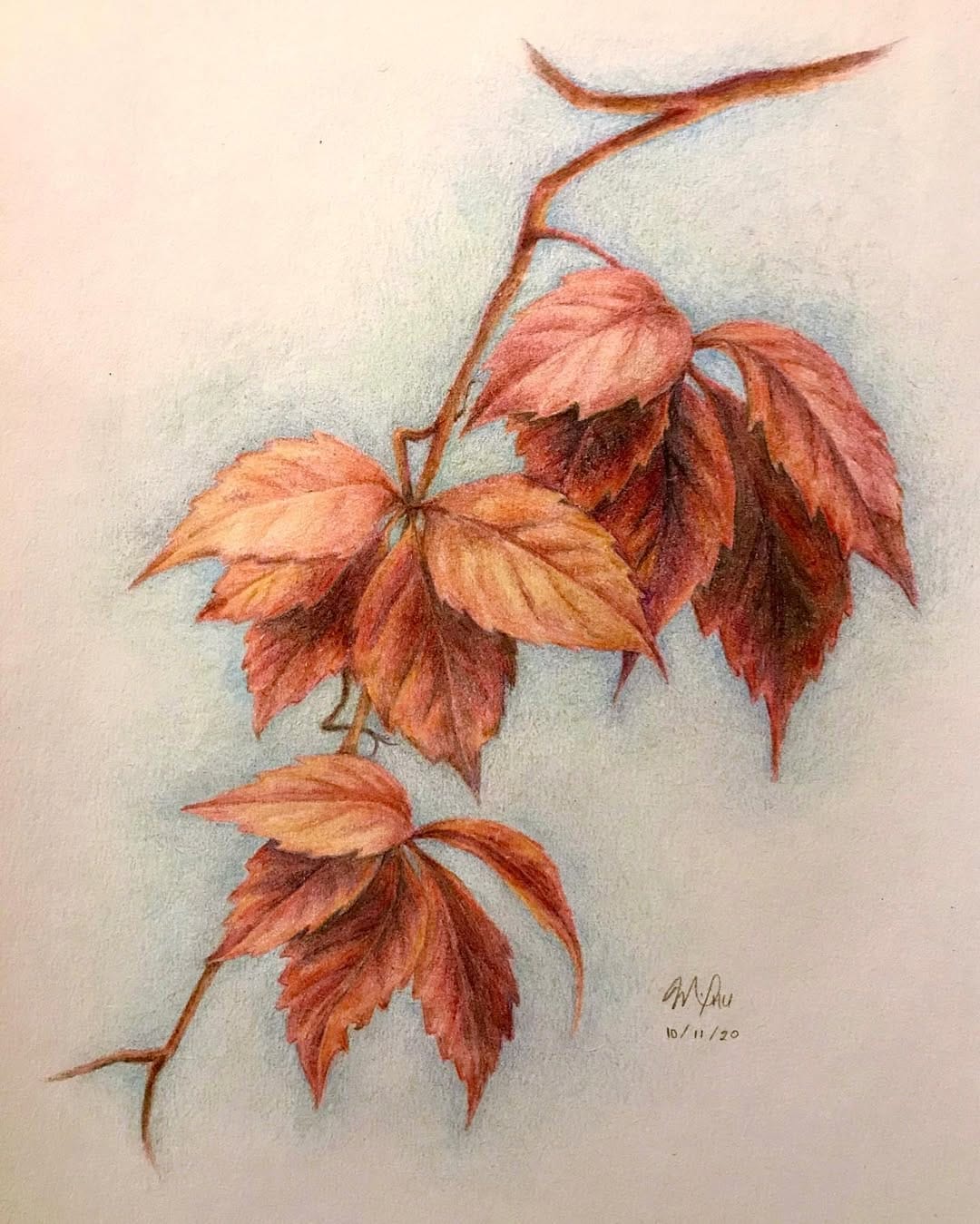 Post 6 by MShu on Instagram (image)