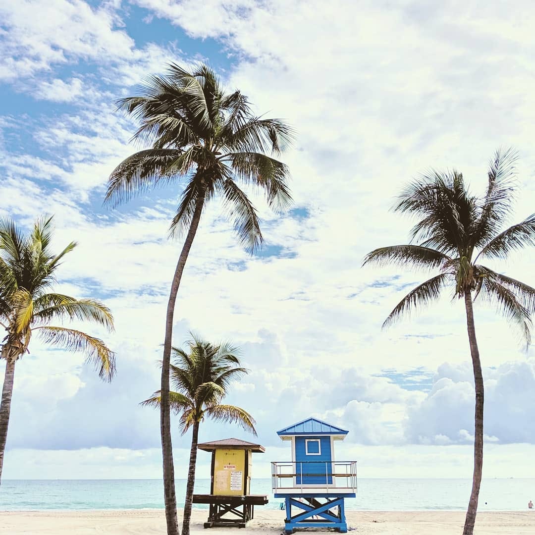 Post 6 by Ꭾ Ꭿ Ꮜ Ꮭ Ꮠ Ꮑ Ꮛ on Instagram (image)