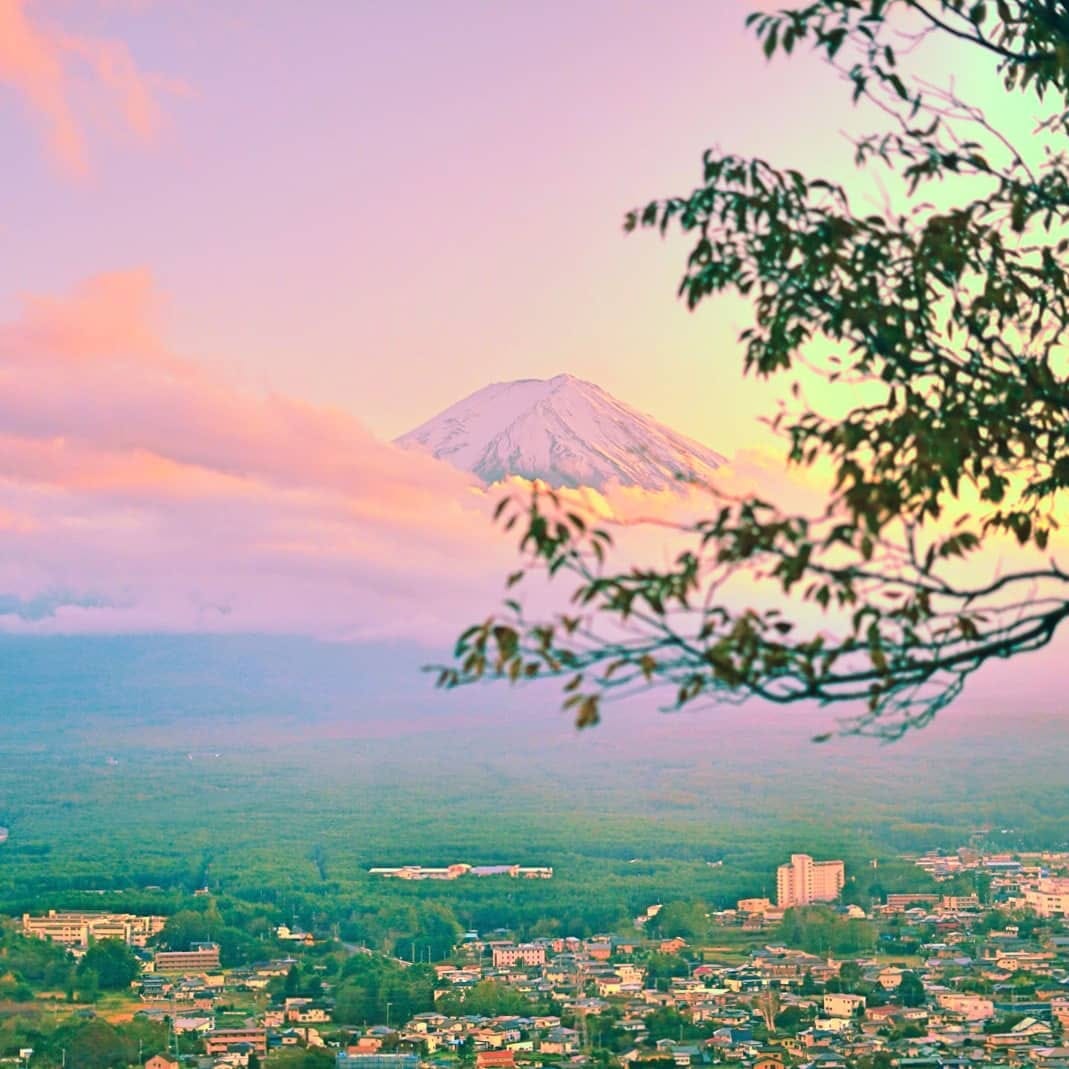 Post 9 by Ꭾ Ꭿ Ꮜ Ꮭ Ꮠ Ꮑ Ꮛ on Instagram (image)