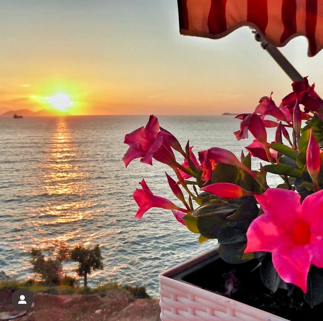 Post 2 by Jody on Instagram (image)