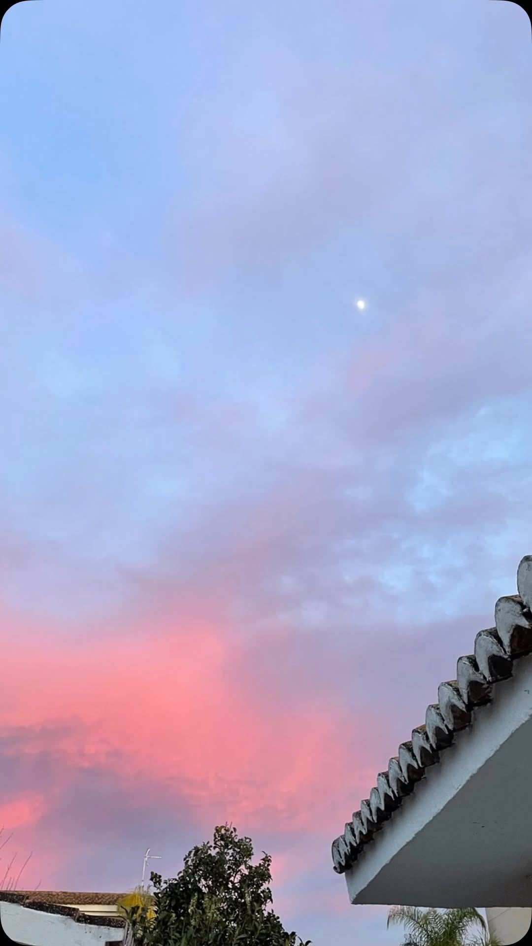 Post 4 by Vanessa Mills on Instagram (video)