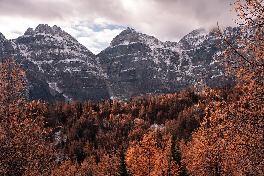 Post 10 by Max Schianchi Photography on Instagram (image)