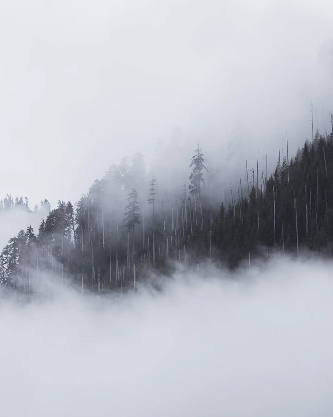 Post 6 by Maya Kovacheva on Instagram (image)
