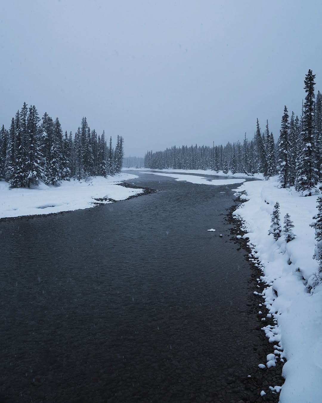Post 7 by Maya Kovacheva on Instagram (image)