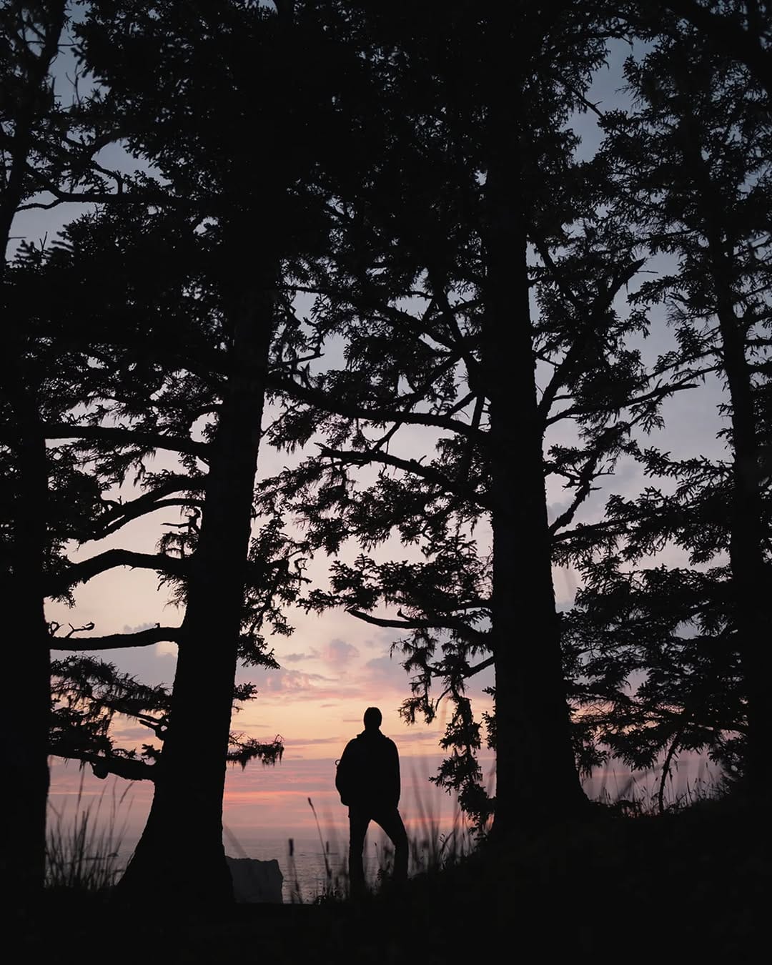 Post 3 by Maya Kovacheva on Instagram (image)