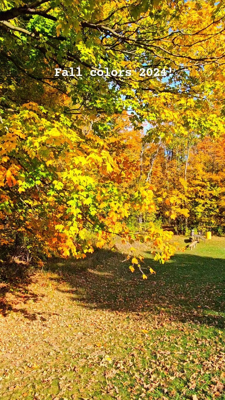 Post 8 by Aseem Saini on Instagram (video)