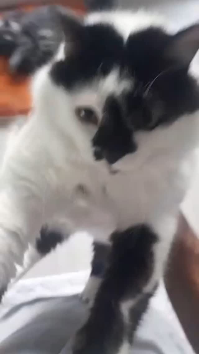 Post 3 by Ömer Tuncer on Instagram (video)