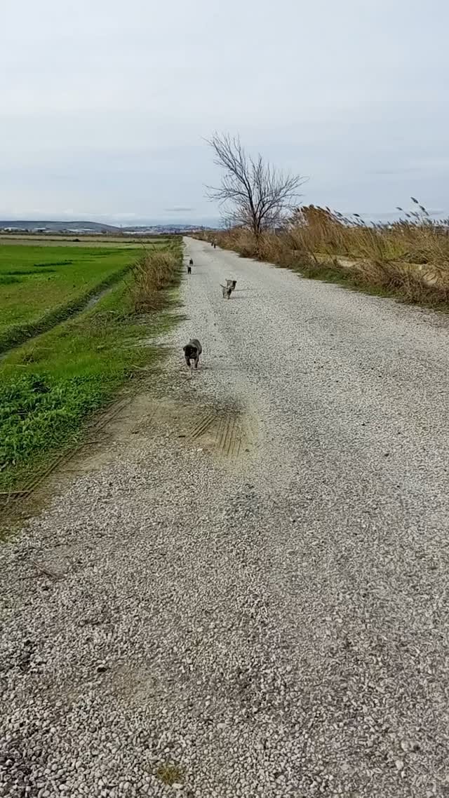 Post 5 by Ömer Tuncer on Instagram (video)