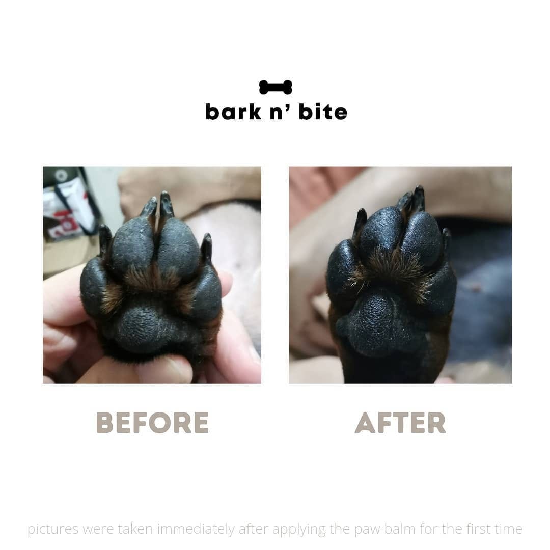 Post 10 by bark n' bite on Instagram (image)