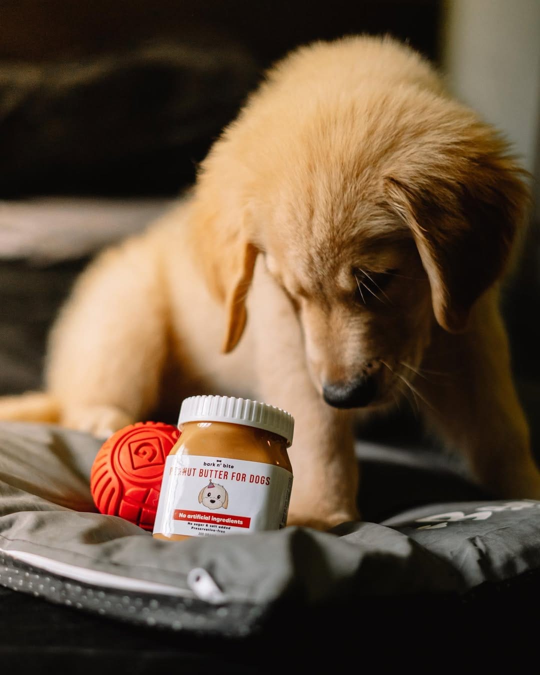 Post 4 by bark n' bite on Instagram (image)