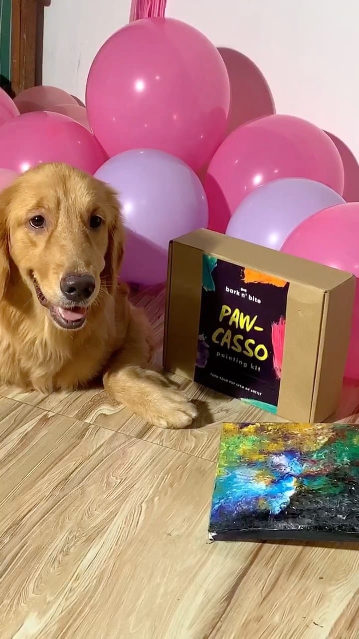 Post 6 by bark n' bite on Instagram (video)