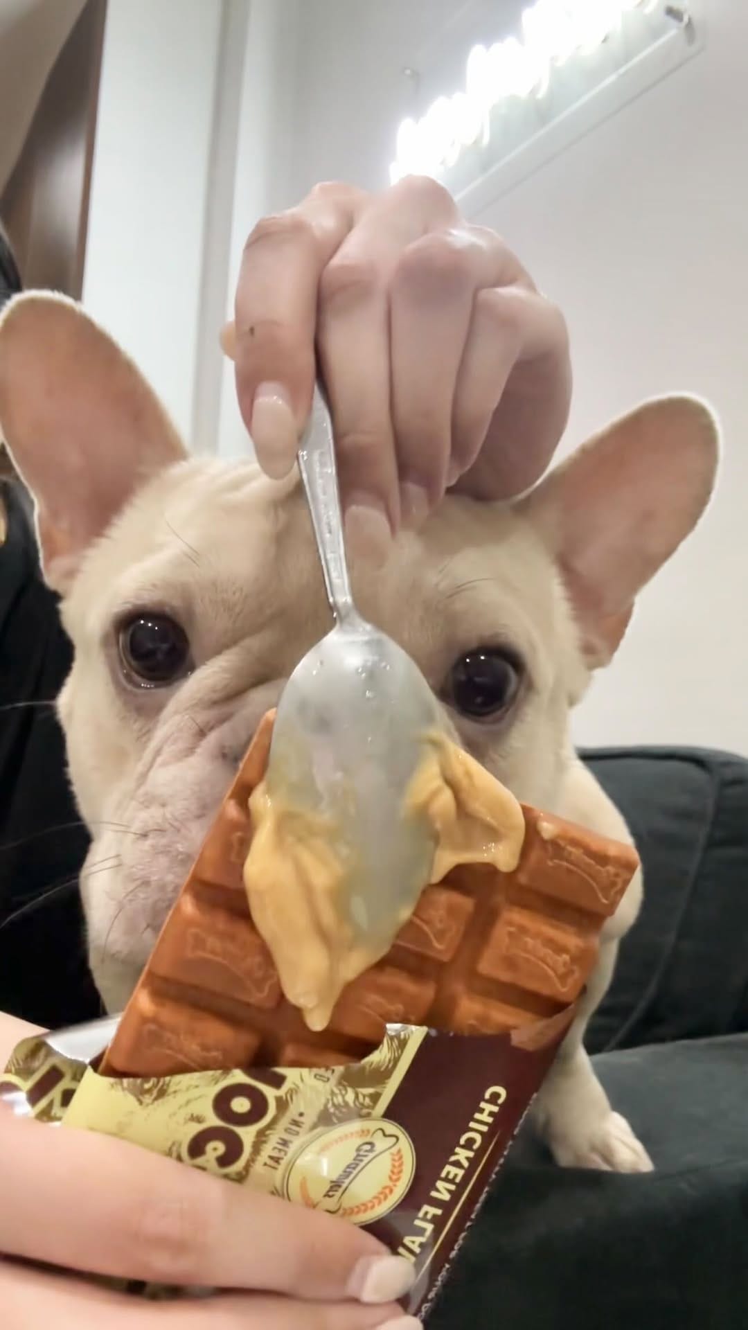 Post 1 by bark n' bite on Instagram (video)