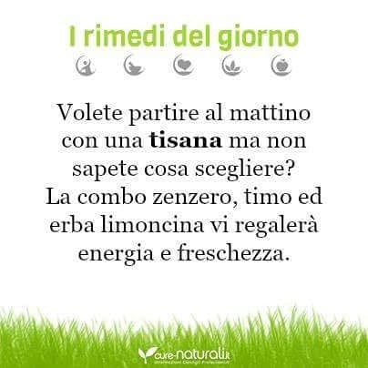 Post 4 by NaturEssenza on Instagram (image)
