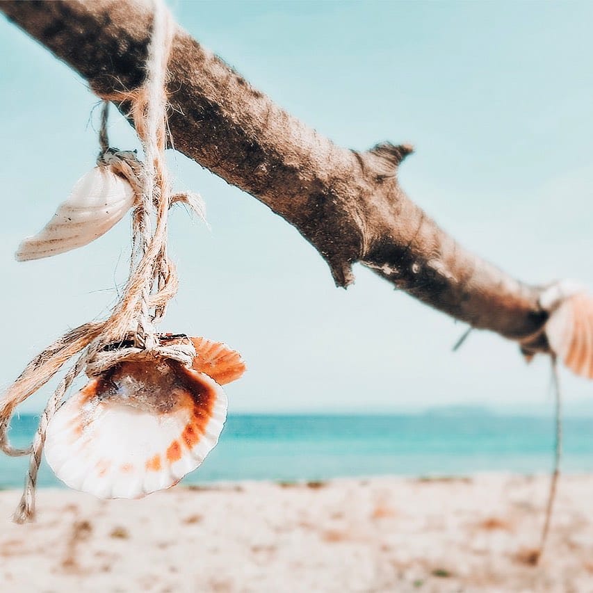 Post 10 by B L U E   T U R T L E on Instagram (image)
