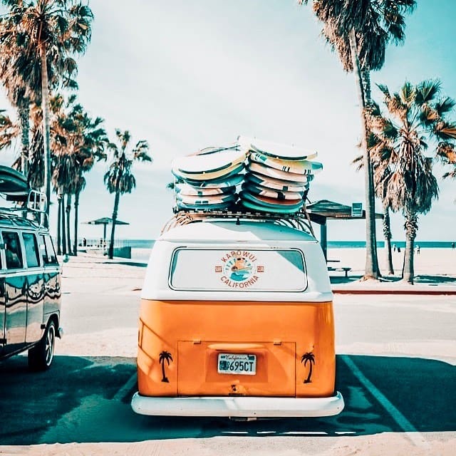 Post 3 by B L U E   T U R T L E on Instagram (image)