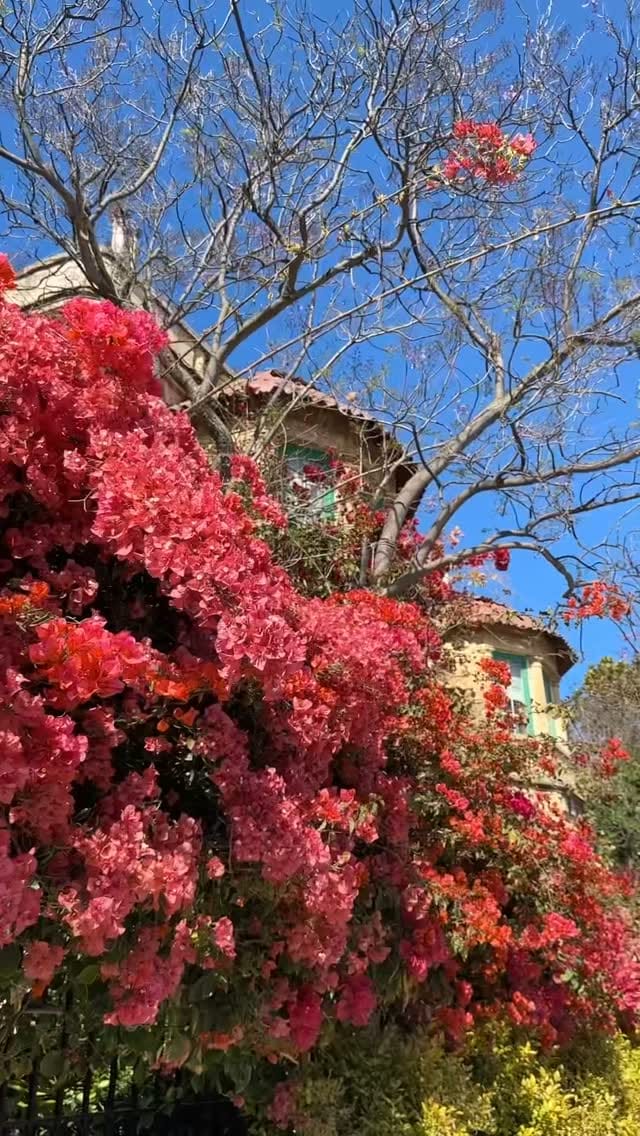 Post 4 by istanbulmystery📸🎥 on Instagram (video)