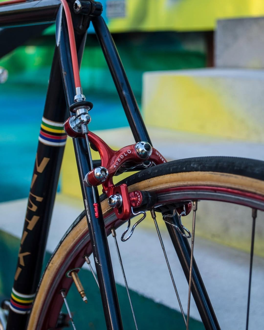Post 9 by Cavani Bicycles on Instagram (image)