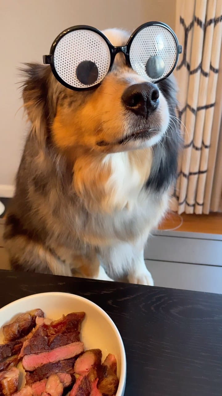 Post 6 by 🐾 Bacon & Goji 🐾 on Instagram (video)