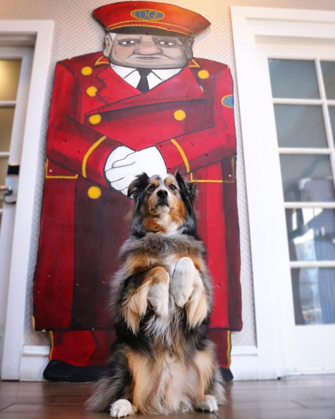 Post 7 by 🐾 Bacon & Goji 🐾 on Instagram (image)