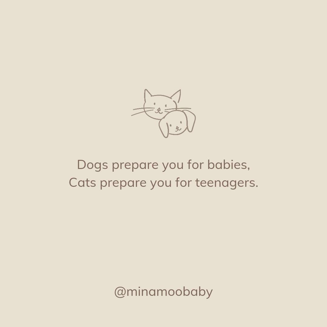 Post 7 by Mina Moo and Baby on Instagram (image)