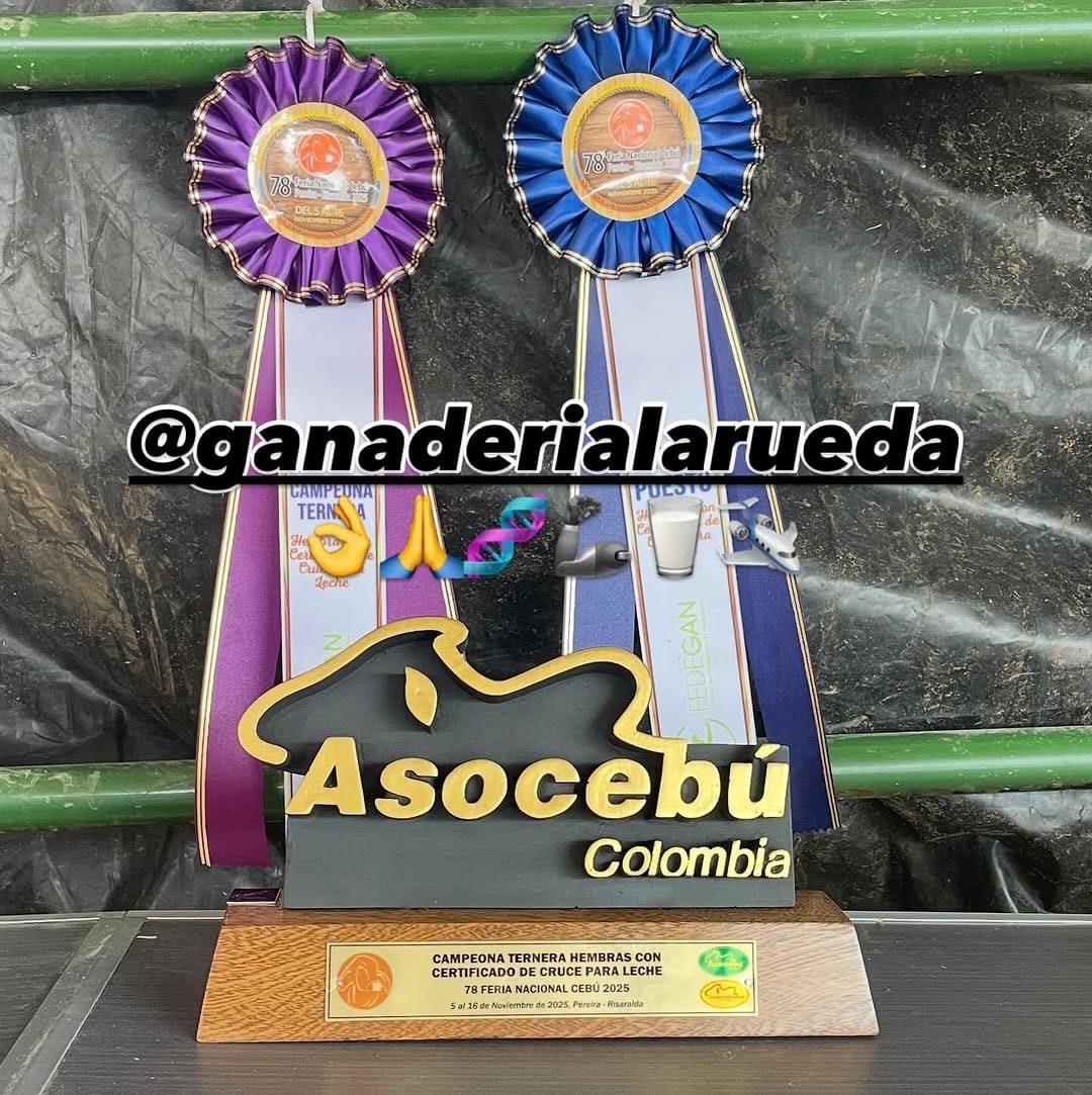 Post 5 by Ganaderia La Rueda on Instagram (image)