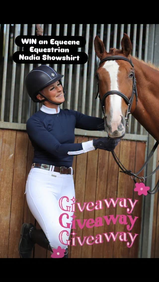 Post 1 by LKF Sport Horses & Ponies on Instagram (video)