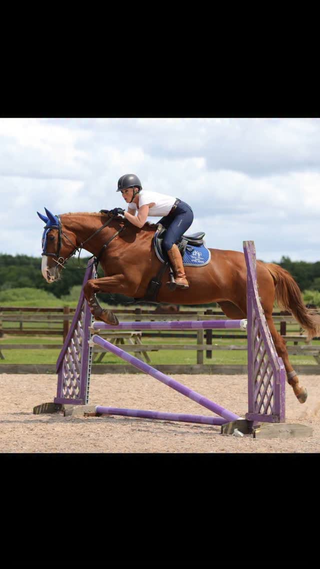Post 10 by LKF Sport Horses & Ponies on Instagram (video)