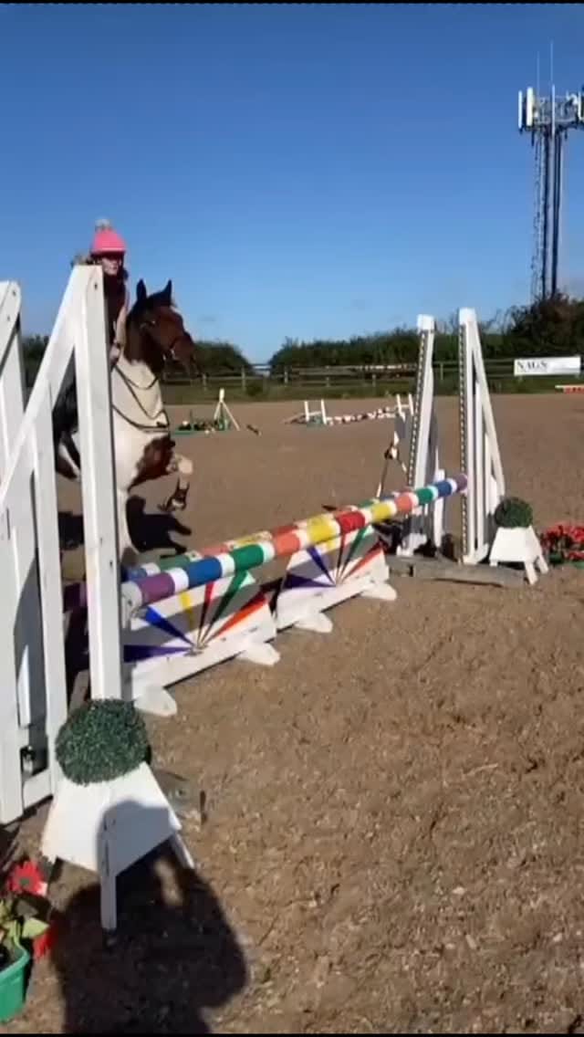 Post 8 by LKF Sport Horses & Ponies on Instagram (video)