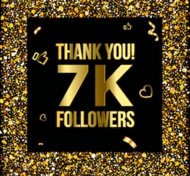 Post 3 by LKF Sport Horses & Ponies on Instagram (video)
