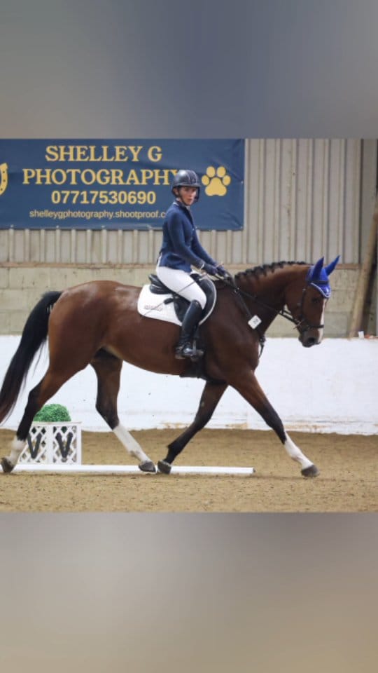 Post 5 by LKF Sport Horses & Ponies on Instagram (video)