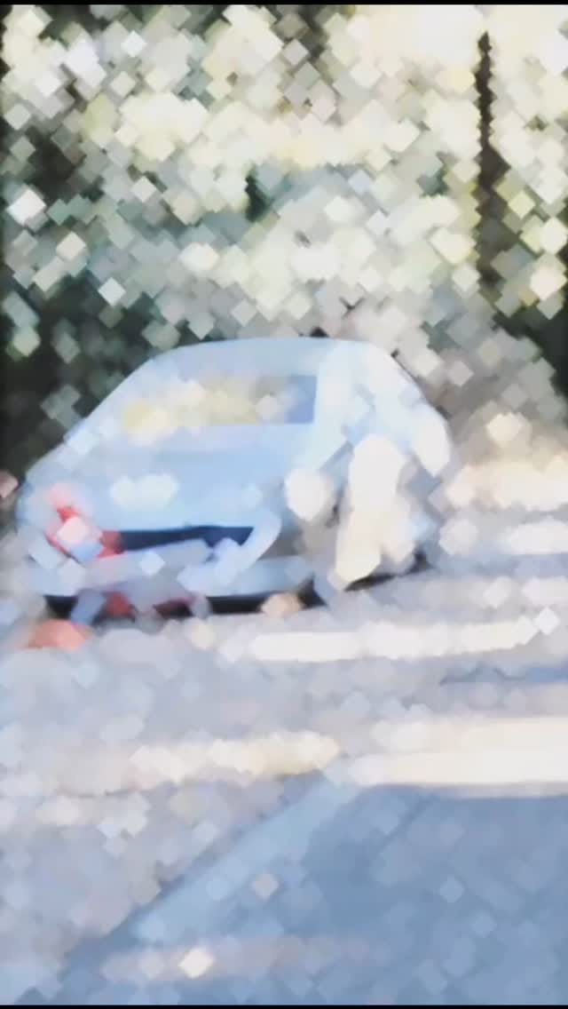 Post 9 by Aymen  Kara (Officiel) 🇨🇦 on Instagram (video)