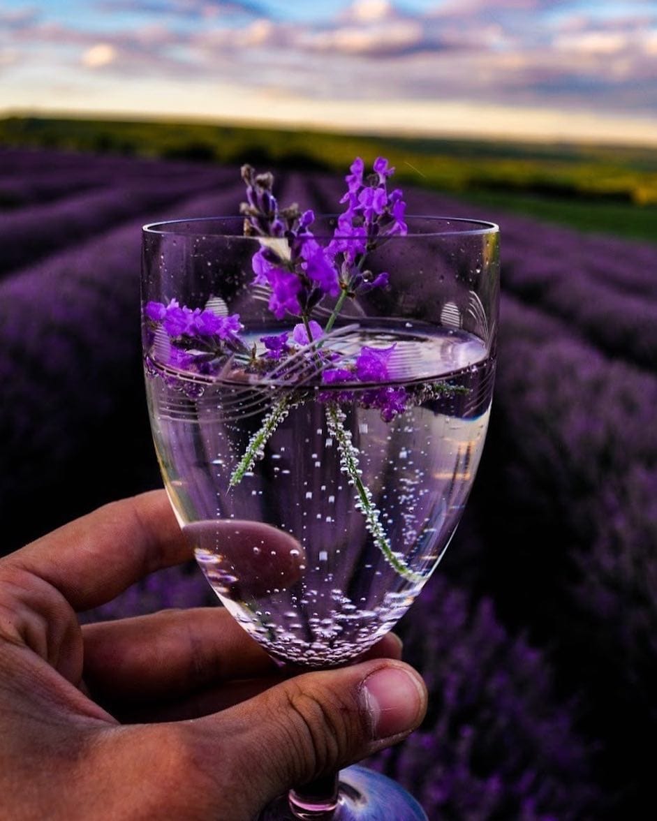Post 4 by Aromenature Italia on Instagram (image)
