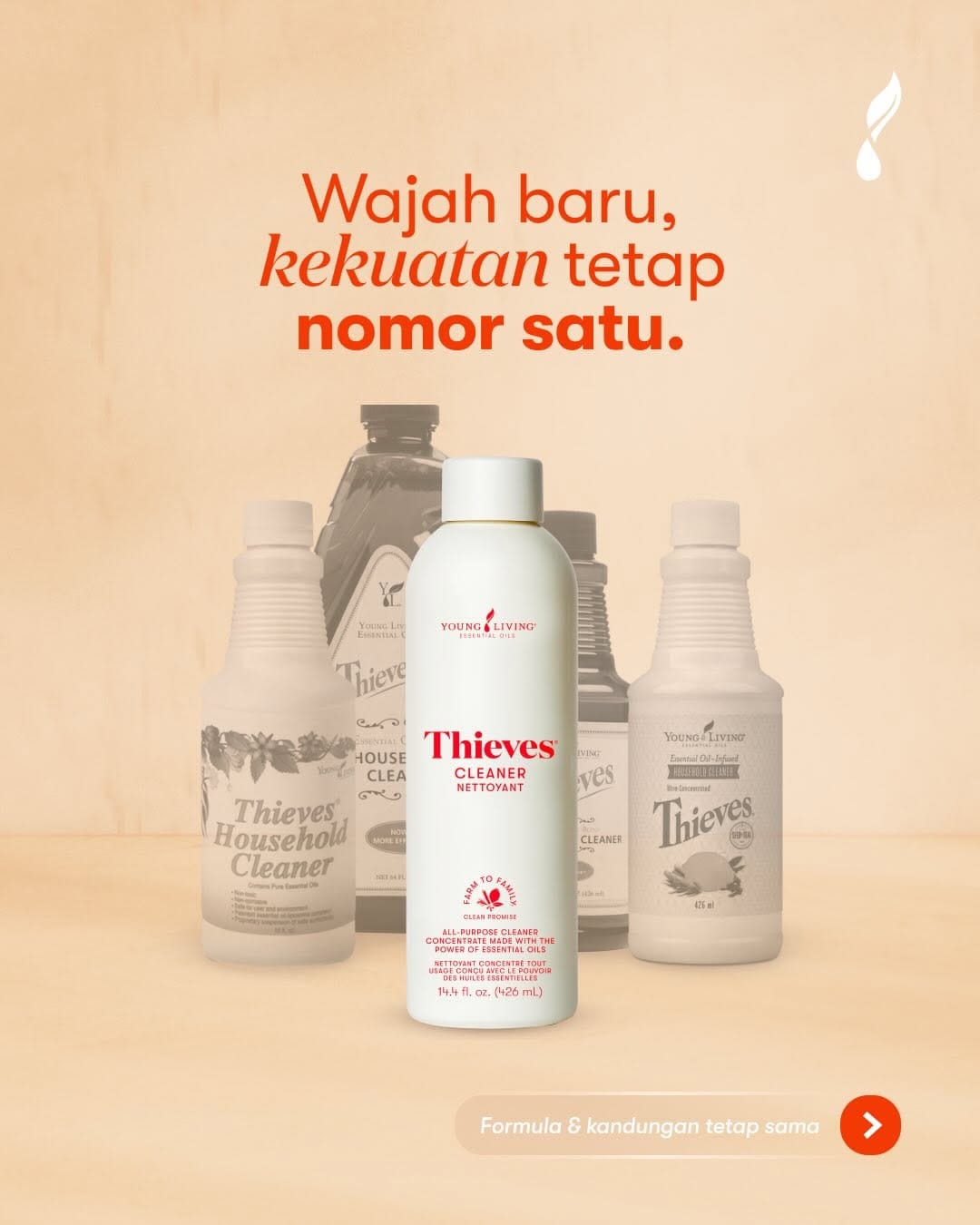 Post 5 by Young Living Indonesia on Instagram (carousel)