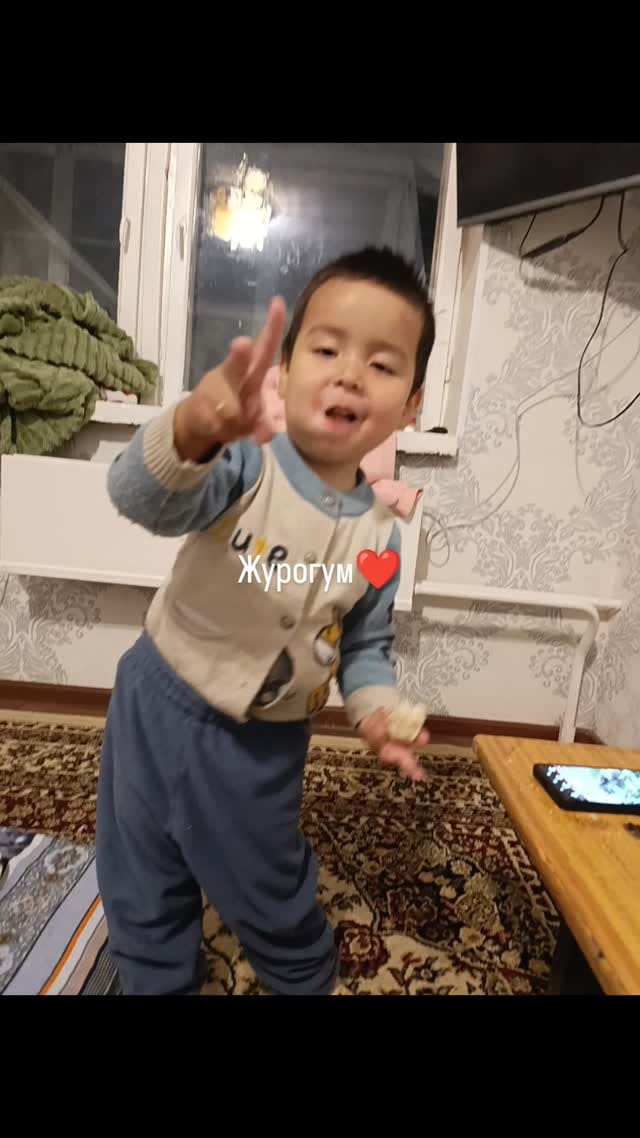 Post 1 by Эльвира Искандербекова on Instagram (video)