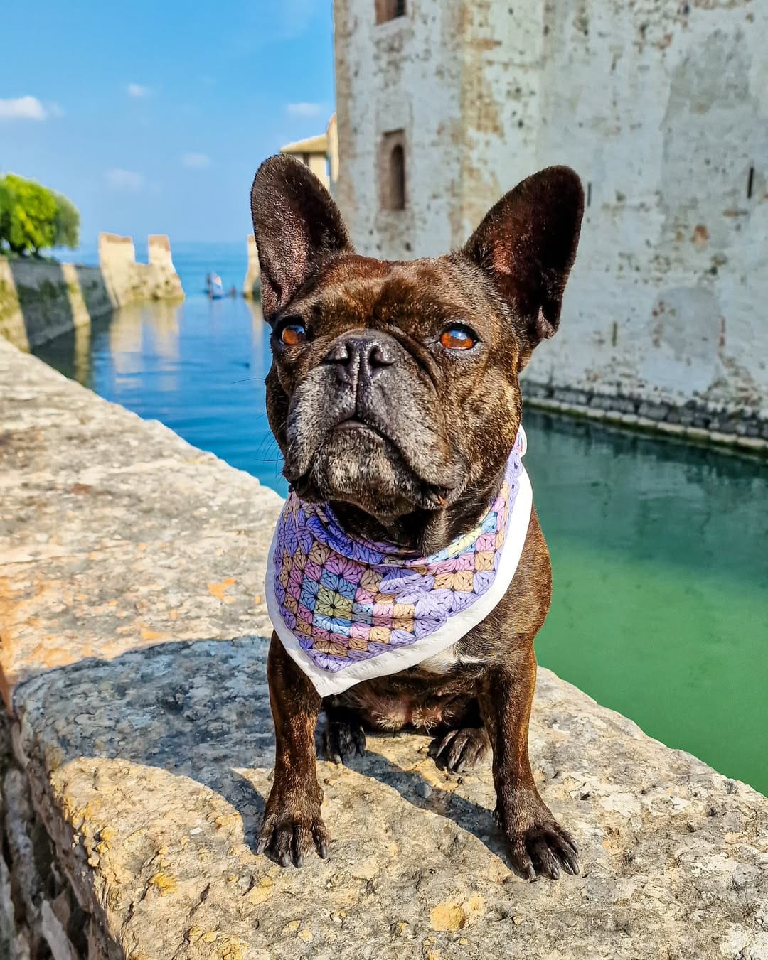 Post 5 by Mademoiselle Holli on Instagram (image)