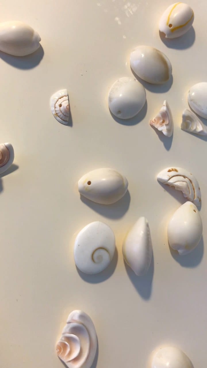 Post 2 by Madeleine Issing on Instagram (video)