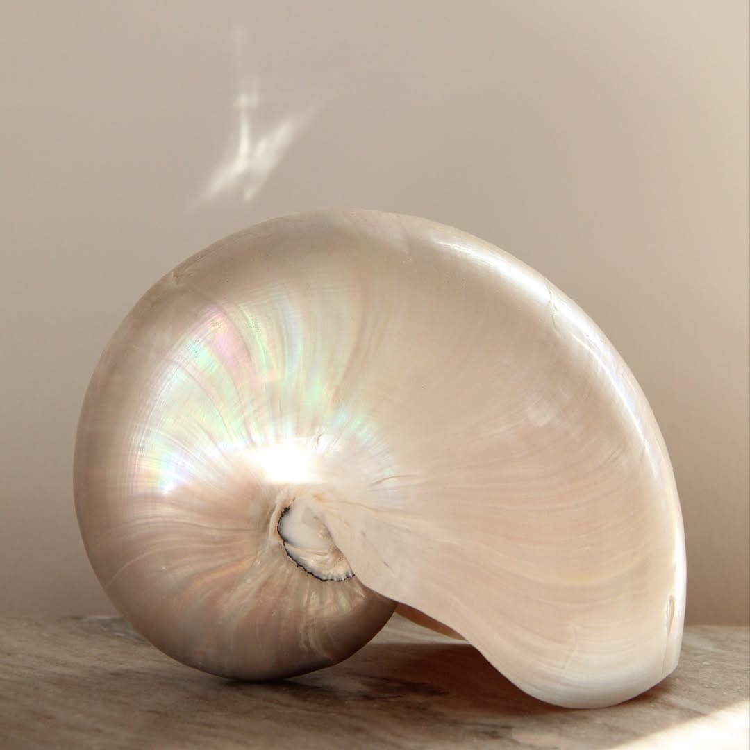 Post 1 by Madeleine Issing on Instagram (image)