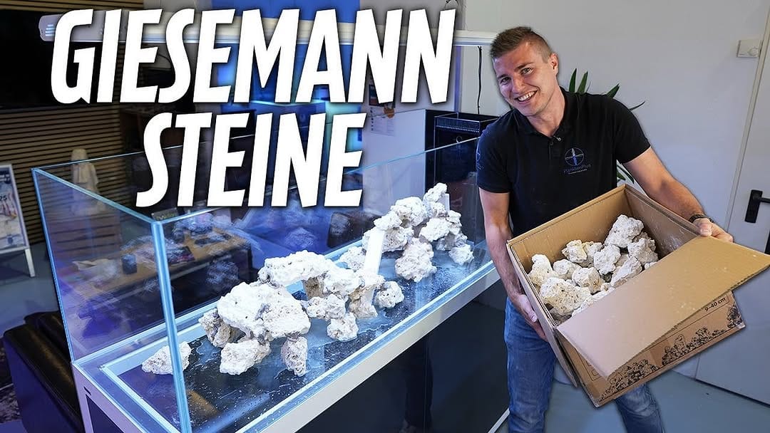 Post 9 by Giesemann Lichttechnik GmbH on Instagram (image)