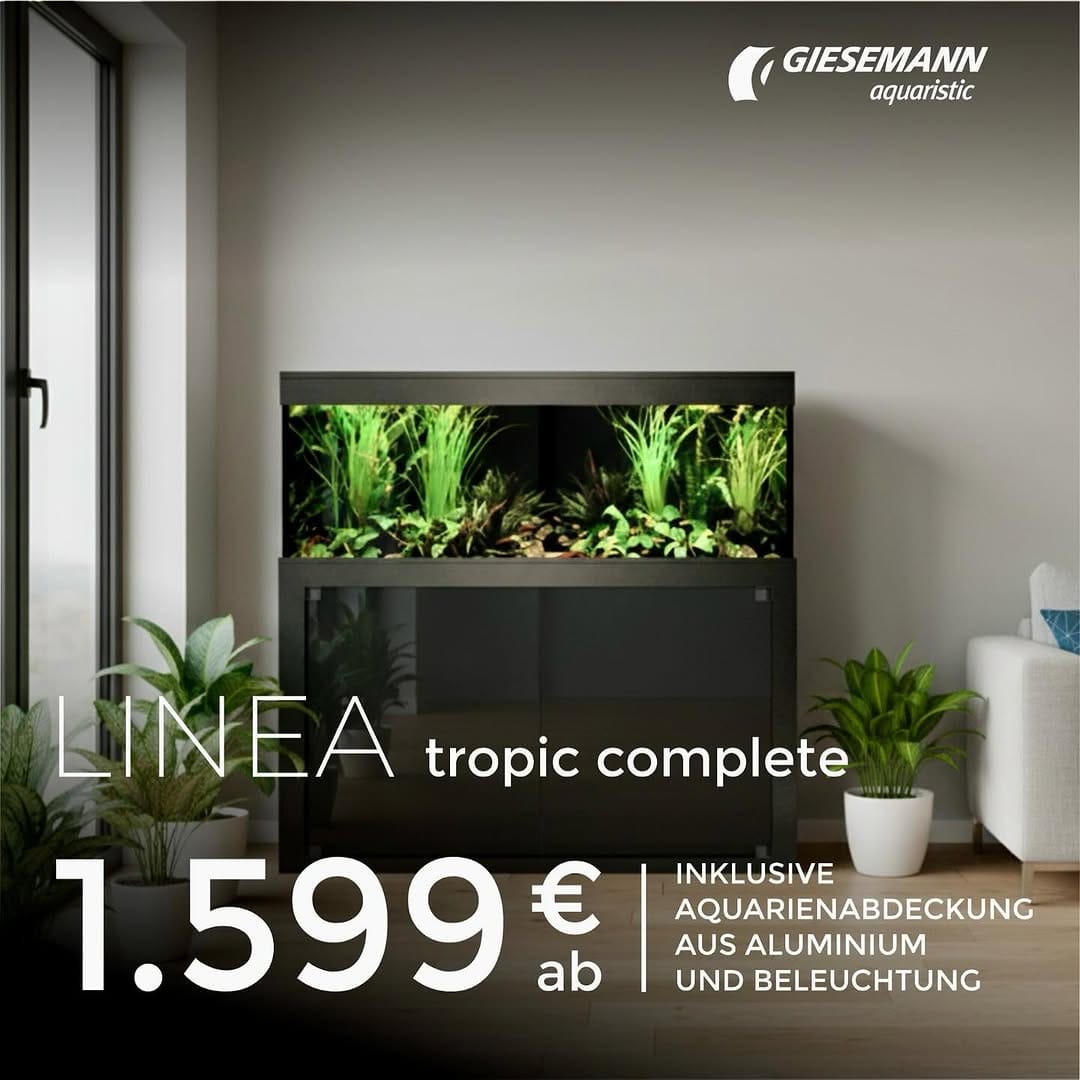 Post 5 by Giesemann Lichttechnik GmbH on Instagram (image)